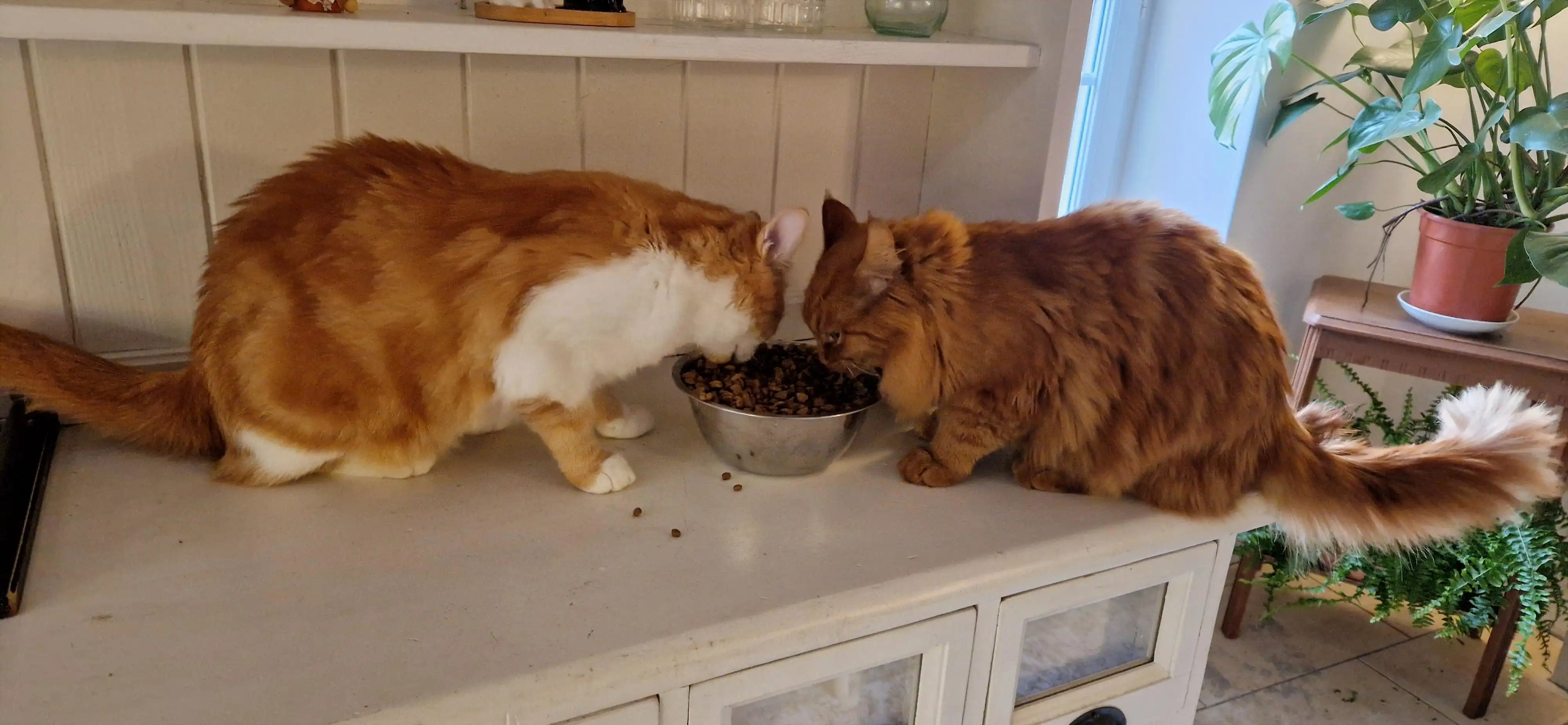 Page visite à domicile 3